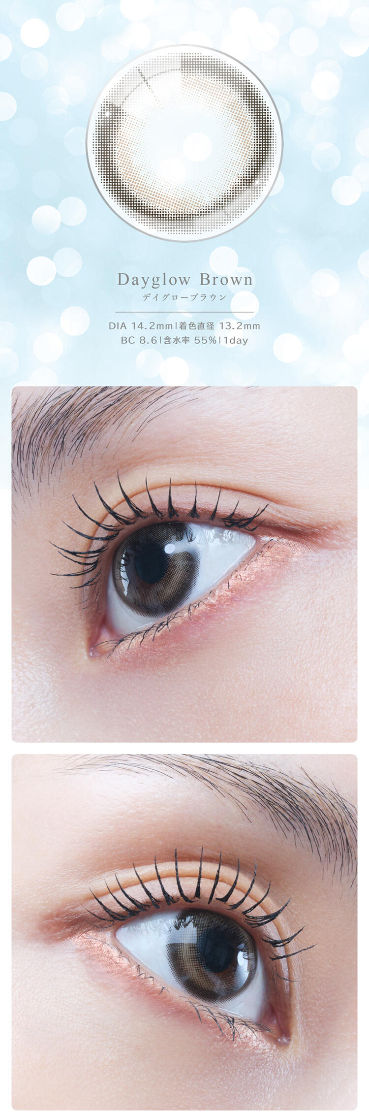 Dayglow Brown デイグローブラウン：DIA 14.2mm｜着色直径 13.2mm｜BC 8.6｜含水率 55%｜1day