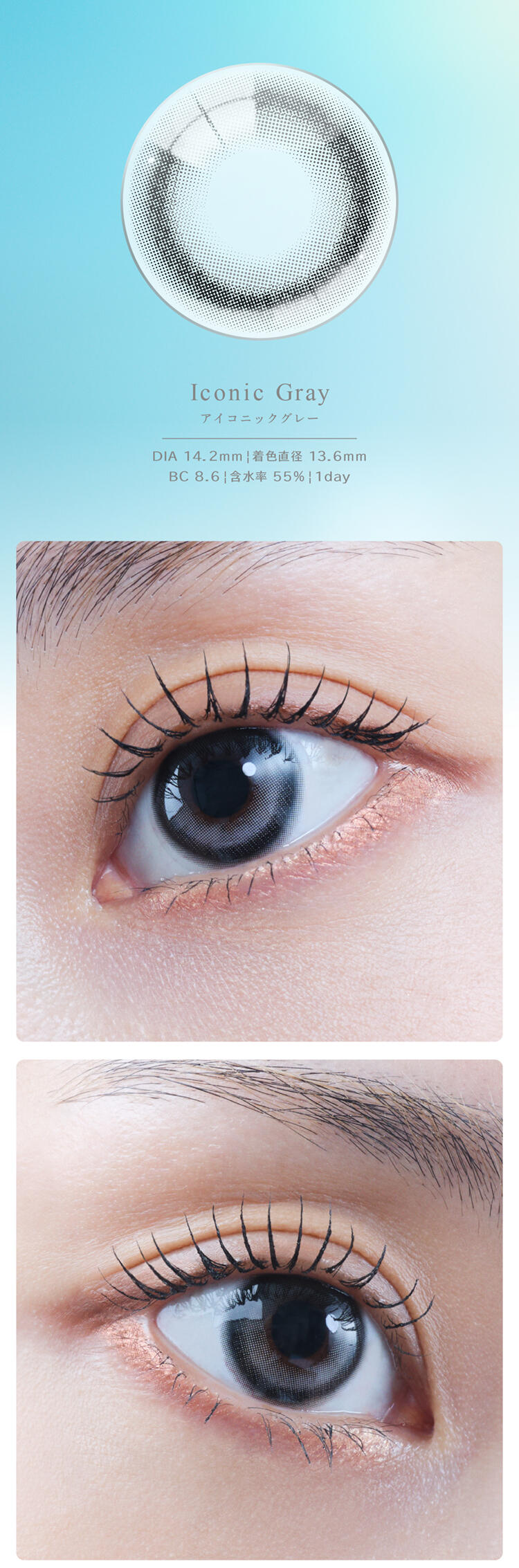 Iconic Gray アイコニックグレー：DIA 14.2mm｜着色直径 13.6mm｜BC 8.6｜含水率 55%｜1day