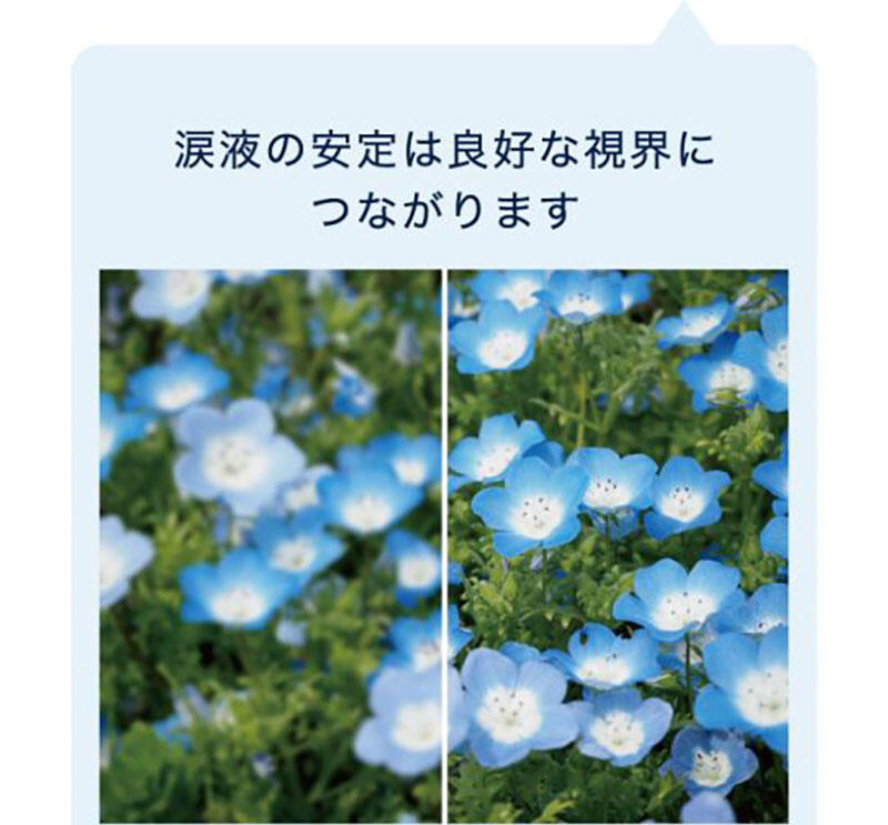 涙液の安定は良好な視界につながります