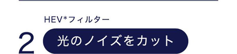 【HEV*フィルター】 2 光のノイズをカット