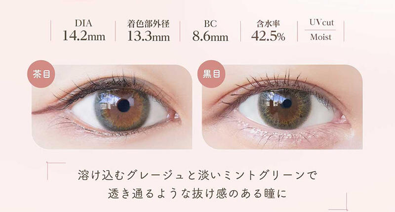 DIA:14.2mm / 着色部外径:13.3mm / BC:8.6mm / 含水率:42.5% / UV cut Moist 溶け込むグレージュと淡いミントグリーンで透き通るような抜け感のある瞳に