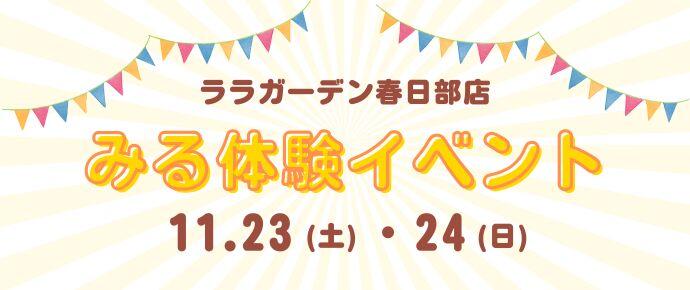 ララガーデン春日部_みる体験イベント_20241123_1124